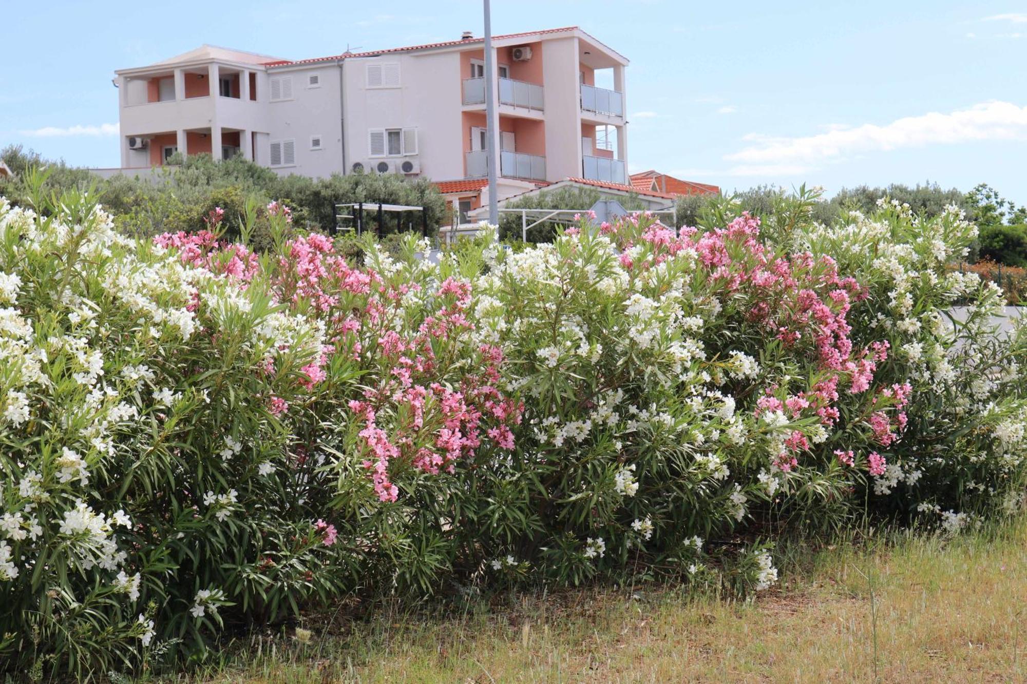 Apartmani Bilokapic Primošten Exteriér fotografie